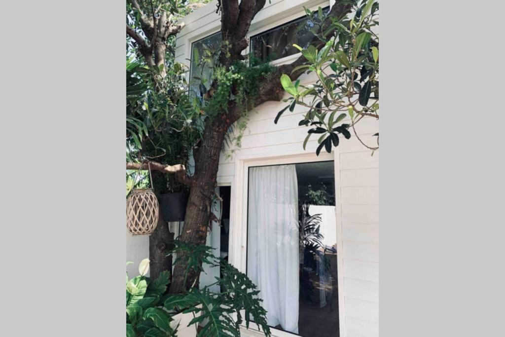La Caze Amoremieve Pour Un Sejour Cozy A St Pierre Saint Pierre Exterior photo